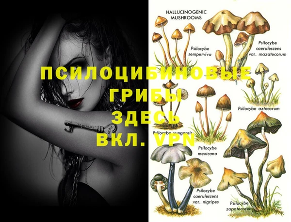 дживик Переславль-Залесский