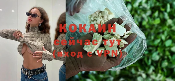 дживик Переславль-Залесский