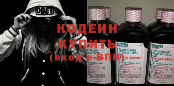 соль ск Пересвет